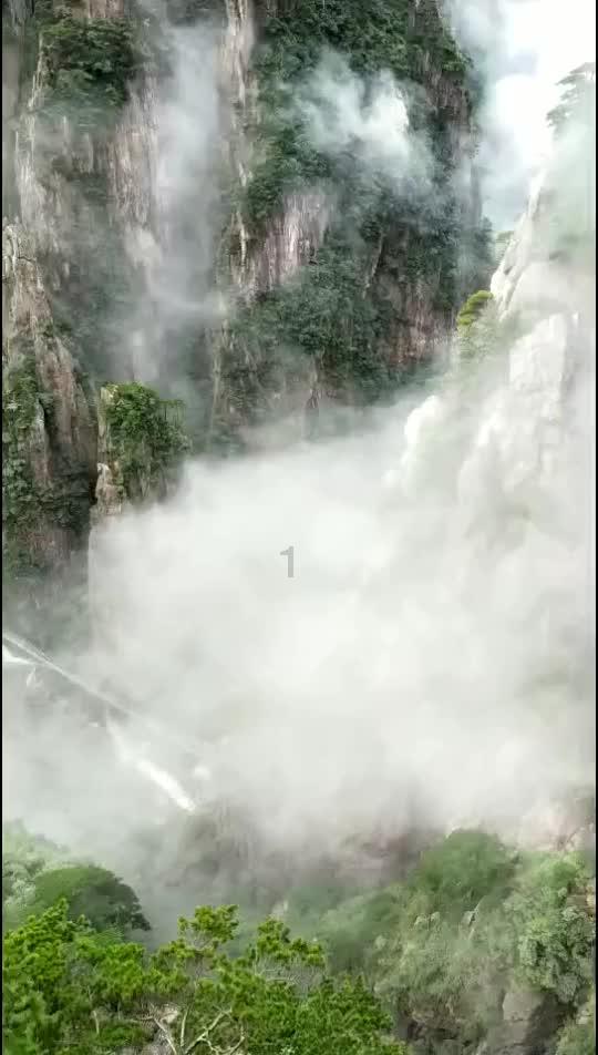 知识星球平台王宝强:越艰难越要做美梦,在现实中应不应该这样?,专注知识分享与交流